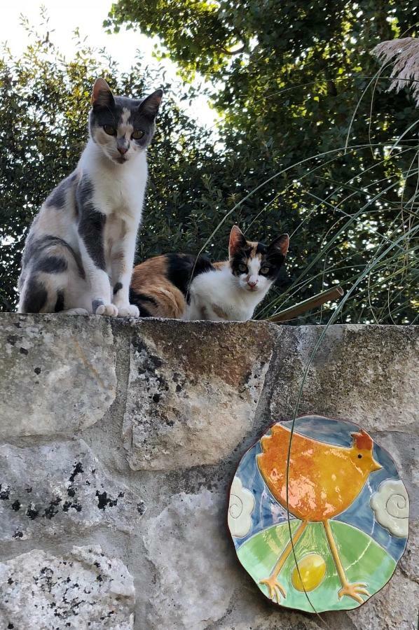 Casas Dos Infantes - Turismo Rural Caldas Da Rainha Εξωτερικό φωτογραφία